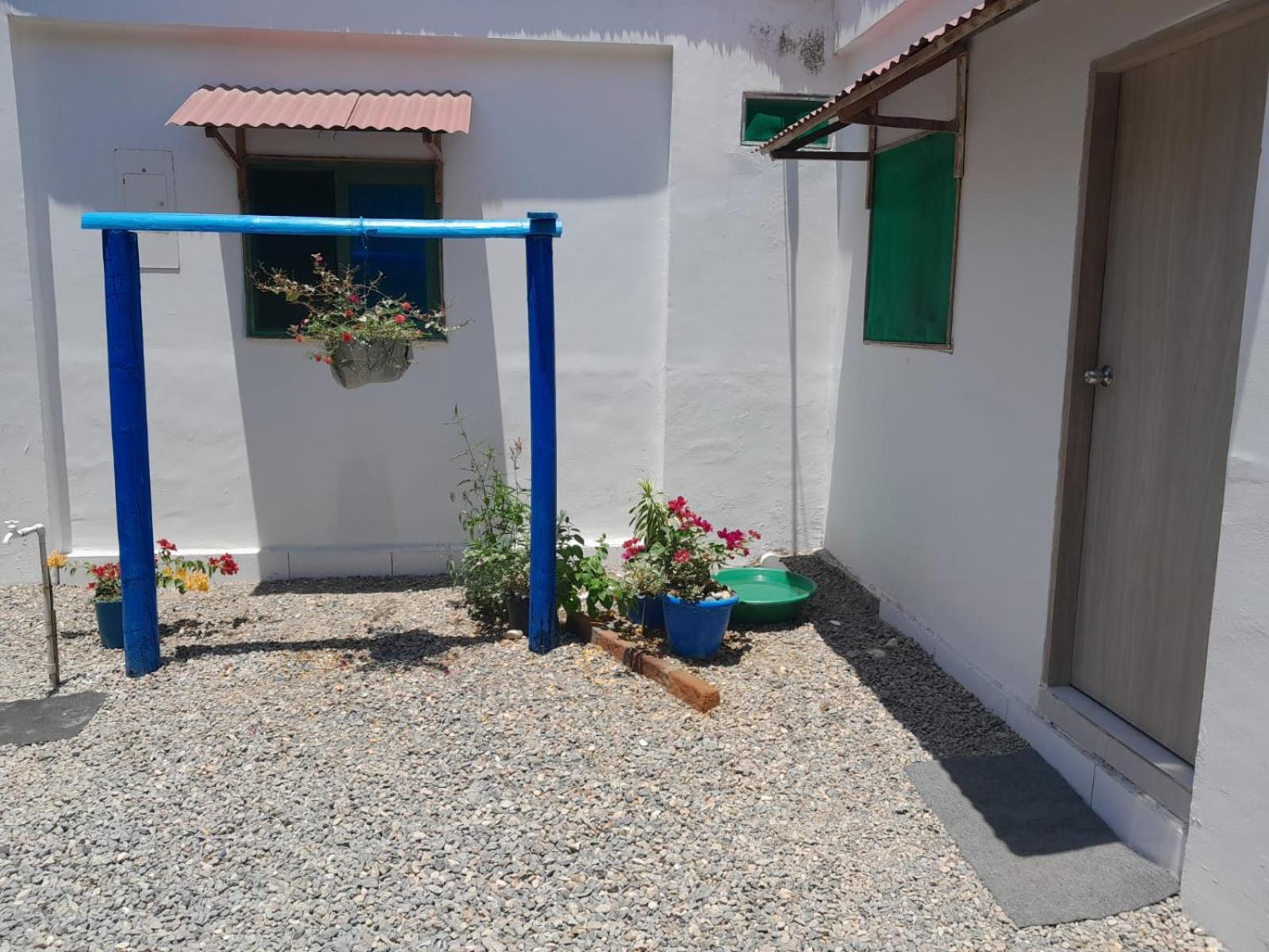 Hostal Paloma Cafe Palomino Exterior photo